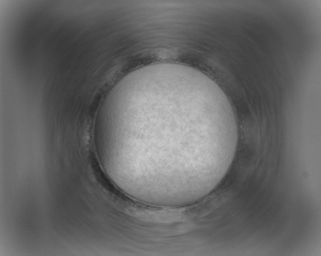 X0000062610032200601040951