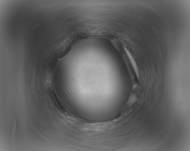 X0000062610033200601040951