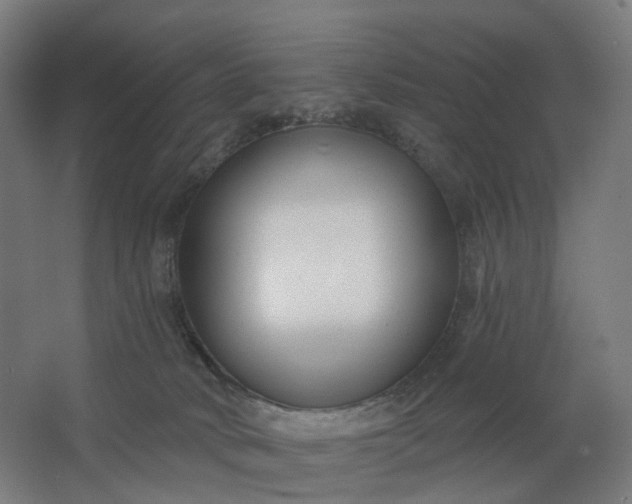 X0000062610034200601040951