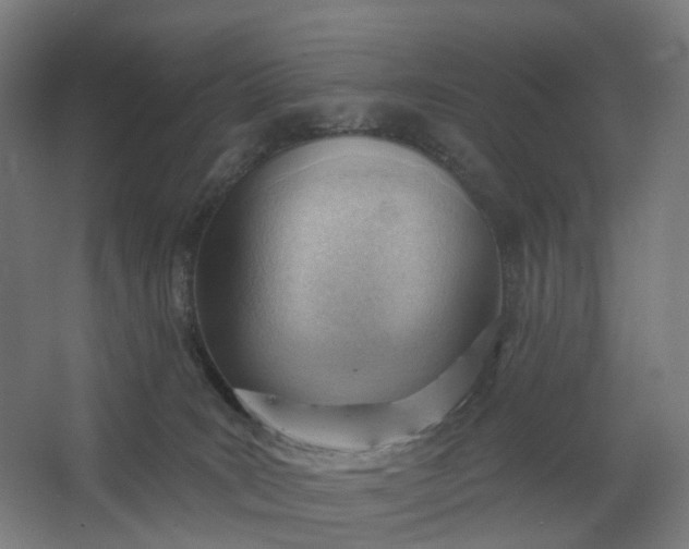 X0000062610035200601040951