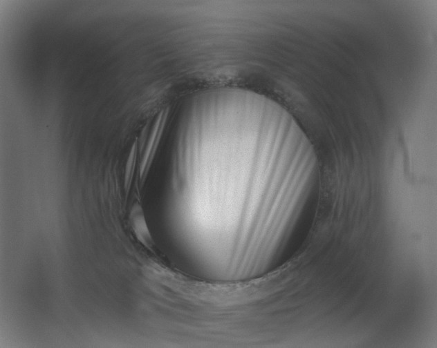 X0000062610037200601040951