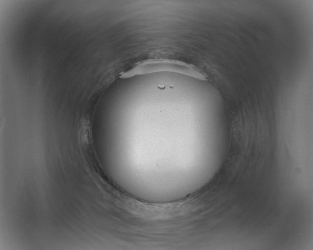 X0000062610038200601040951