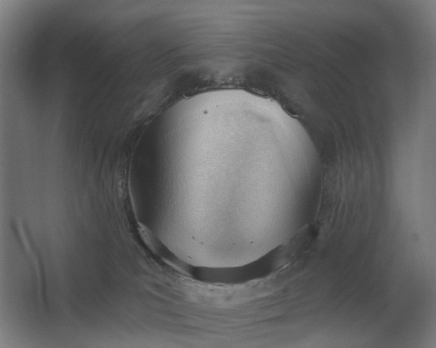 X0000062610039200601040951