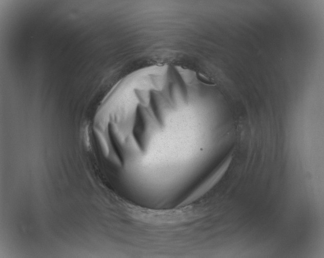 X0000062610042200601040951