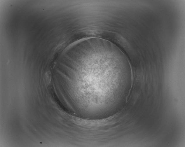 X0000062610043200601040951