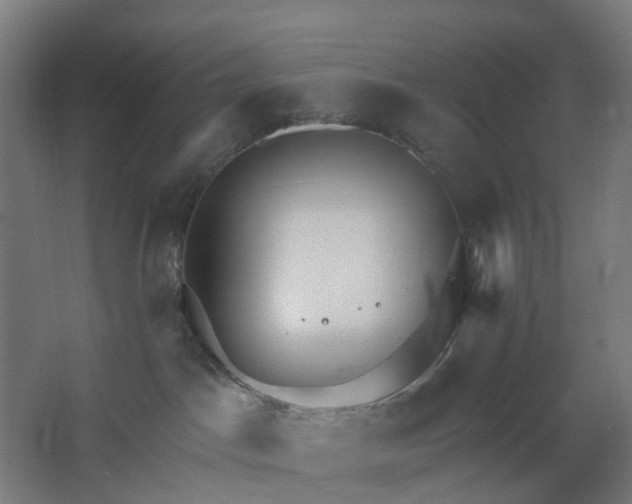 X0000062610045200601040950