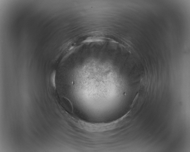 X0000062610047200601040950