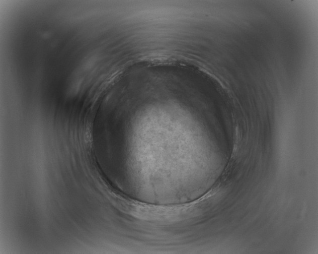 X0000062610048200601040950