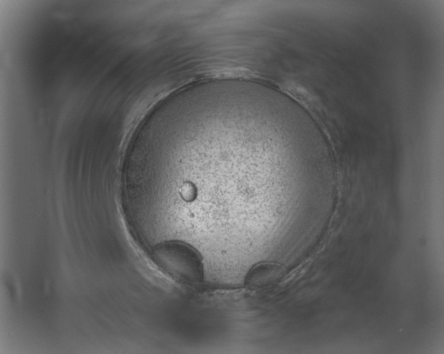 X0000062610049200601040950