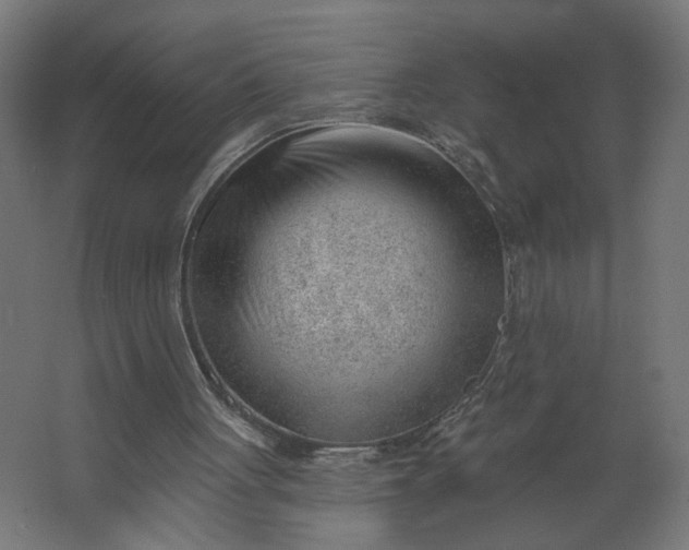 X0000062610051200601040950