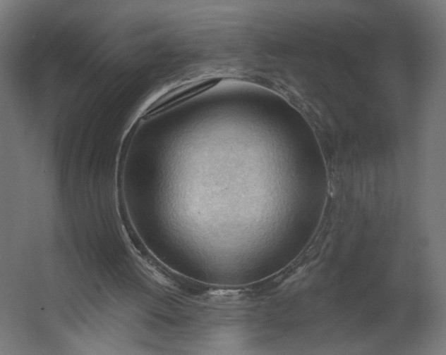 X0000062610052200601040950