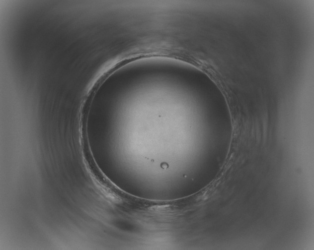 X0000062610054200601040950