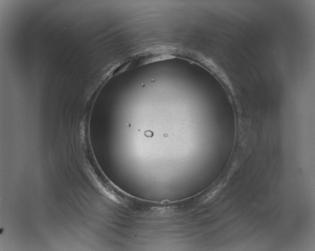 X0000062610057200601040950