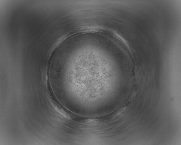 X0000062610059200601040950