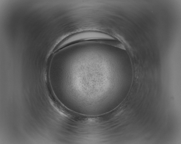 X0000062610060200601040950