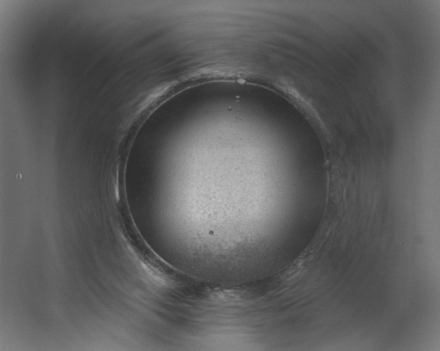 X0000062610062200601040950