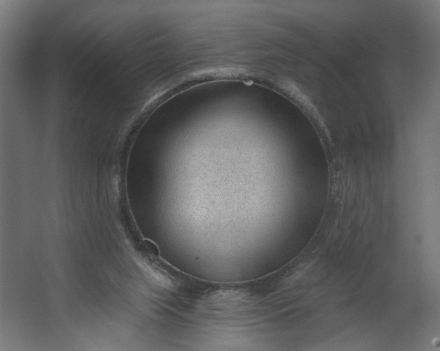 X0000062610063200601040950