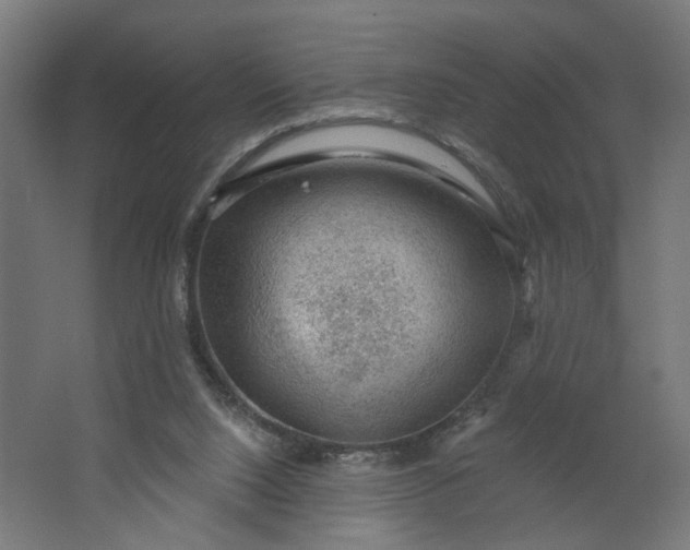 X0000062610064200601040950