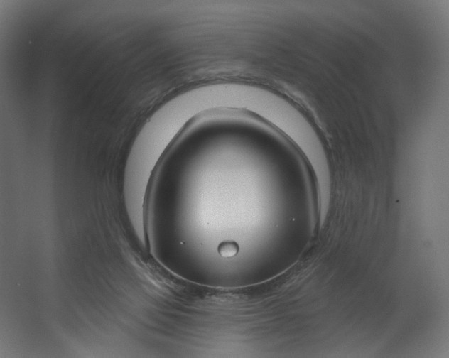 X0000062610069200601040950