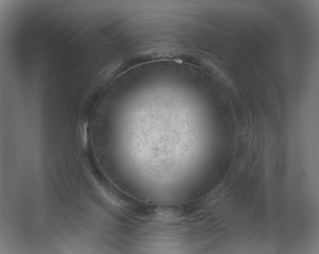 X0000062610070200601040950