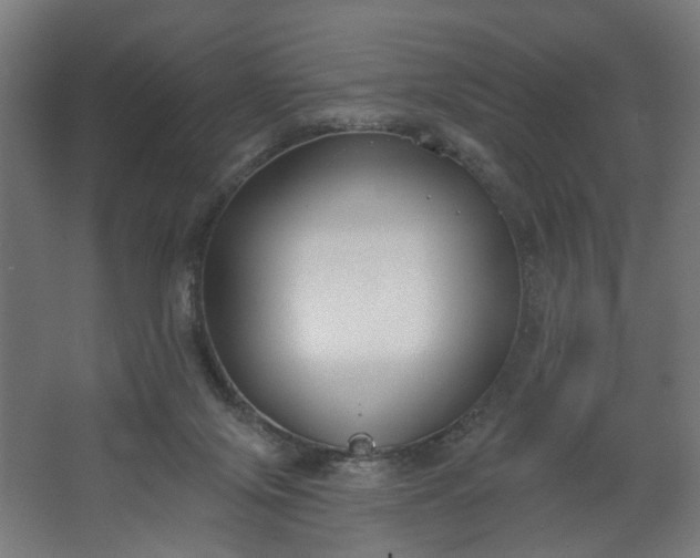 X0000062610071200601040950