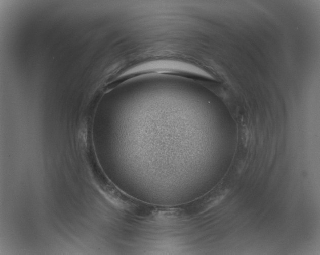 X0000062610072200601040950