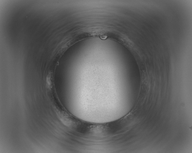 X0000062610074200601040950