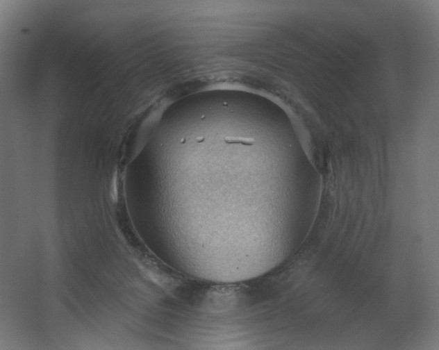 X0000062610076200601040950