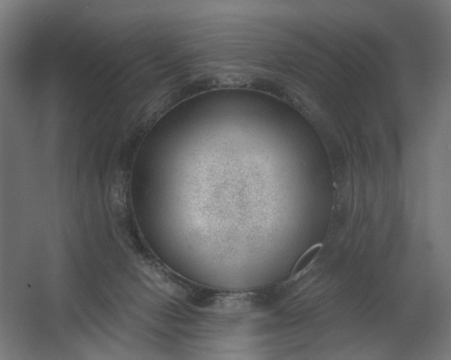 X0000062610078200601040950