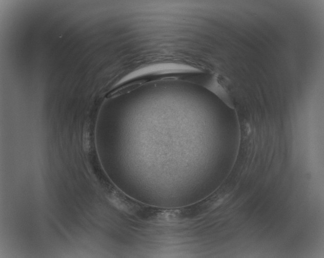 X0000062610080200601040950