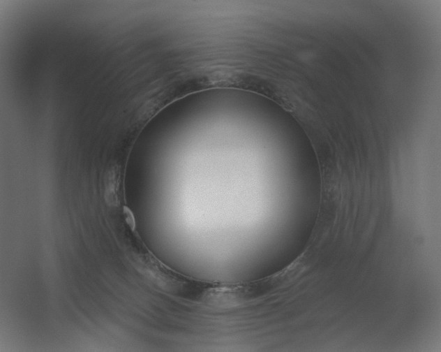 X0000062610082200601040950