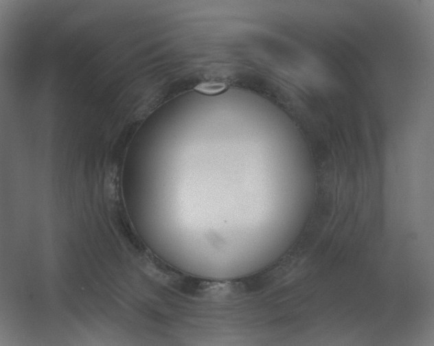 X0000062610083200601040950