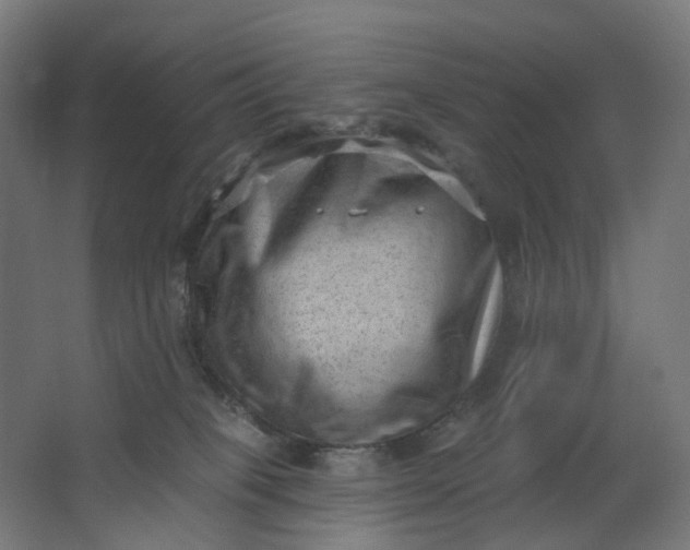 X0000062610085200601040950