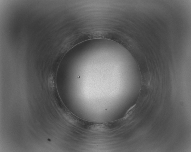 X0000062610086200601040950