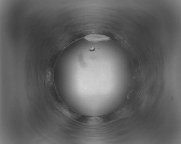 X0000062610087200601040950