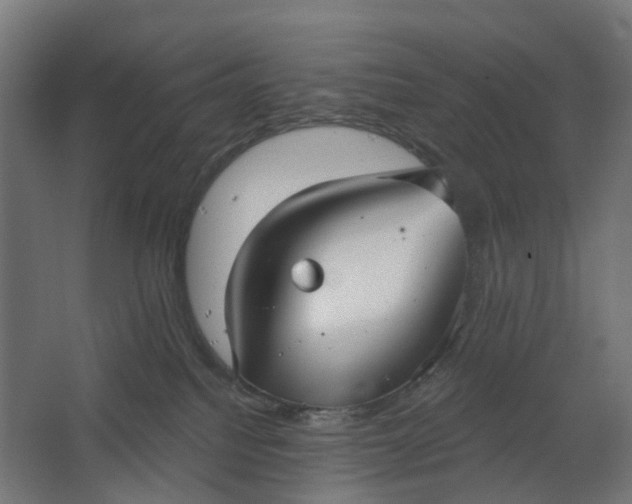 X0000062610088200601040950