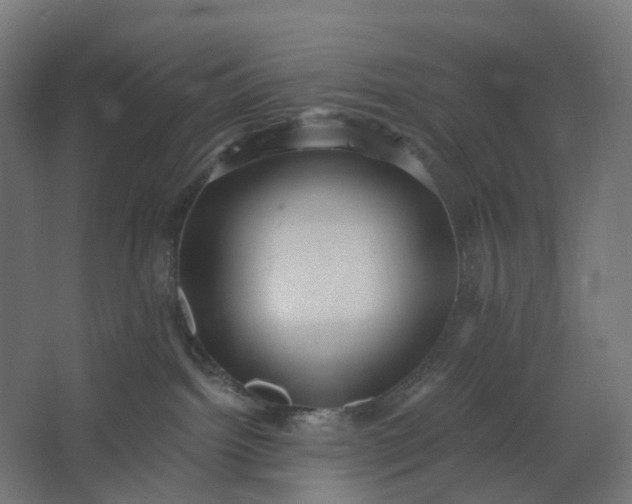 X0000062610092200601040950