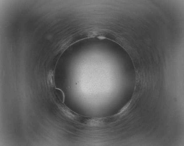 X0000062610094200601040950