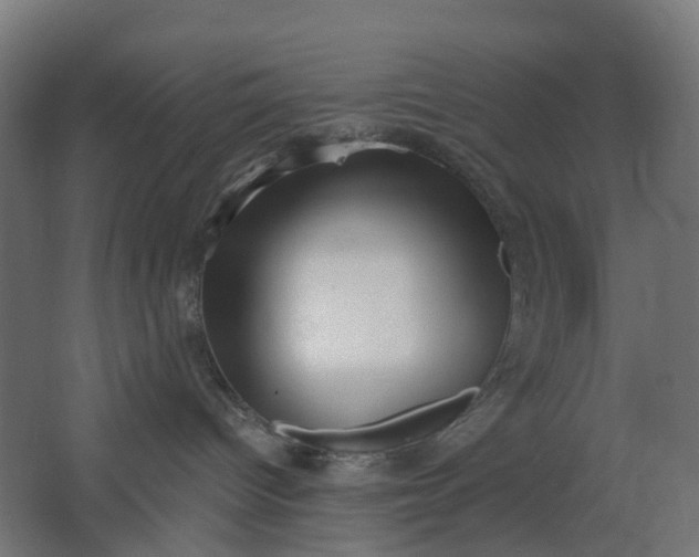 X0000062610096200601040950