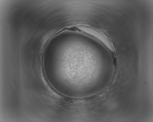 X0000062610097200601040950