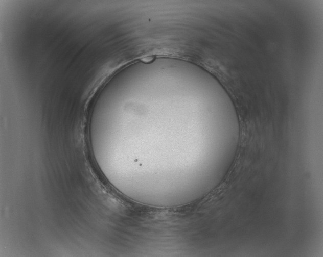 X0000062610098200601040950