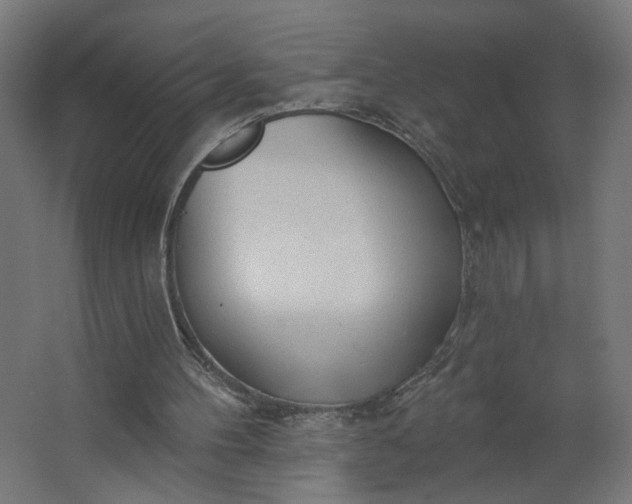 X0000062610100200601040950