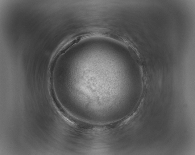 X0000062610101200601040950