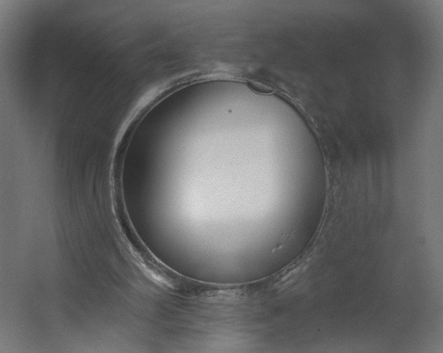 X0000062610102200601040950