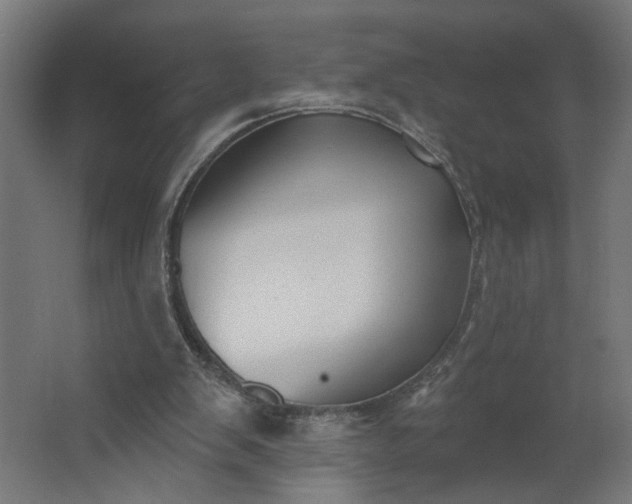 X0000062610103200601040950