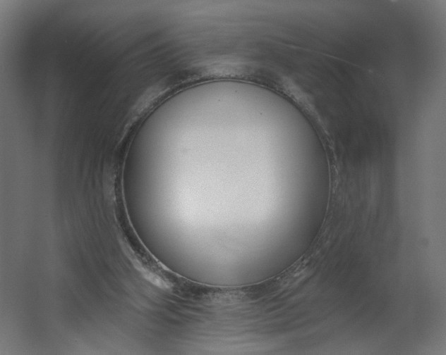 X0000062610106200601040949