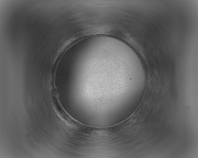 X0000062610107200601040949