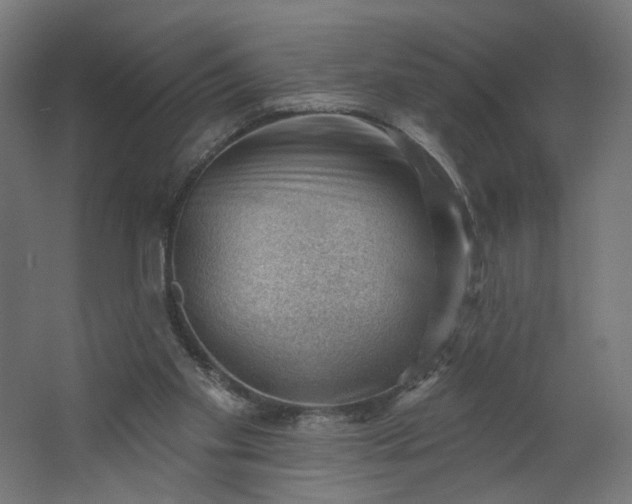 X0000062610109200601040949