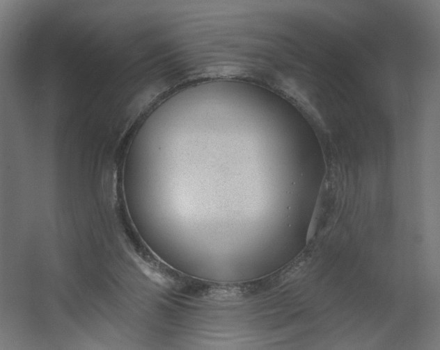 X0000062610110200601040949