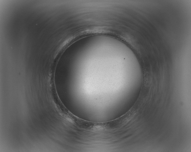 X0000062610111200601040949